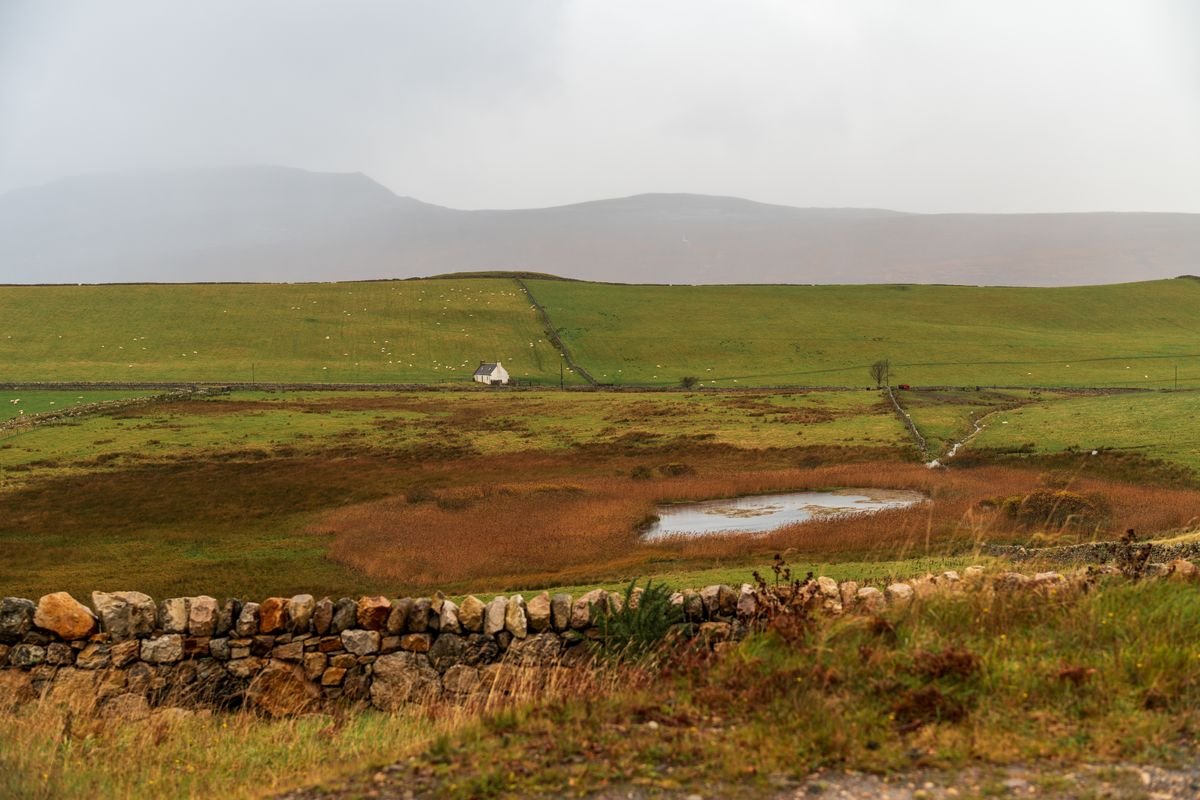 Irish farmland and bog with a stone wall and misty hills