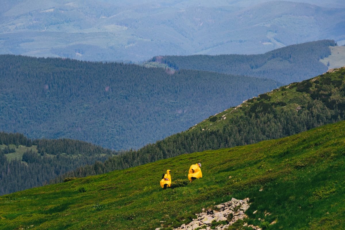 Hikers in yellow rain jackets on a green mountainside