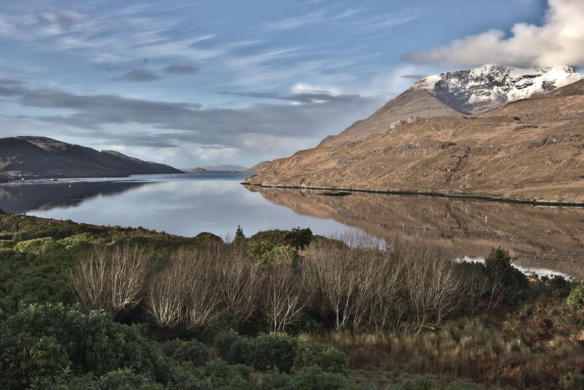 A calm Irish loch below a snow-capped mountain with bare winter trees