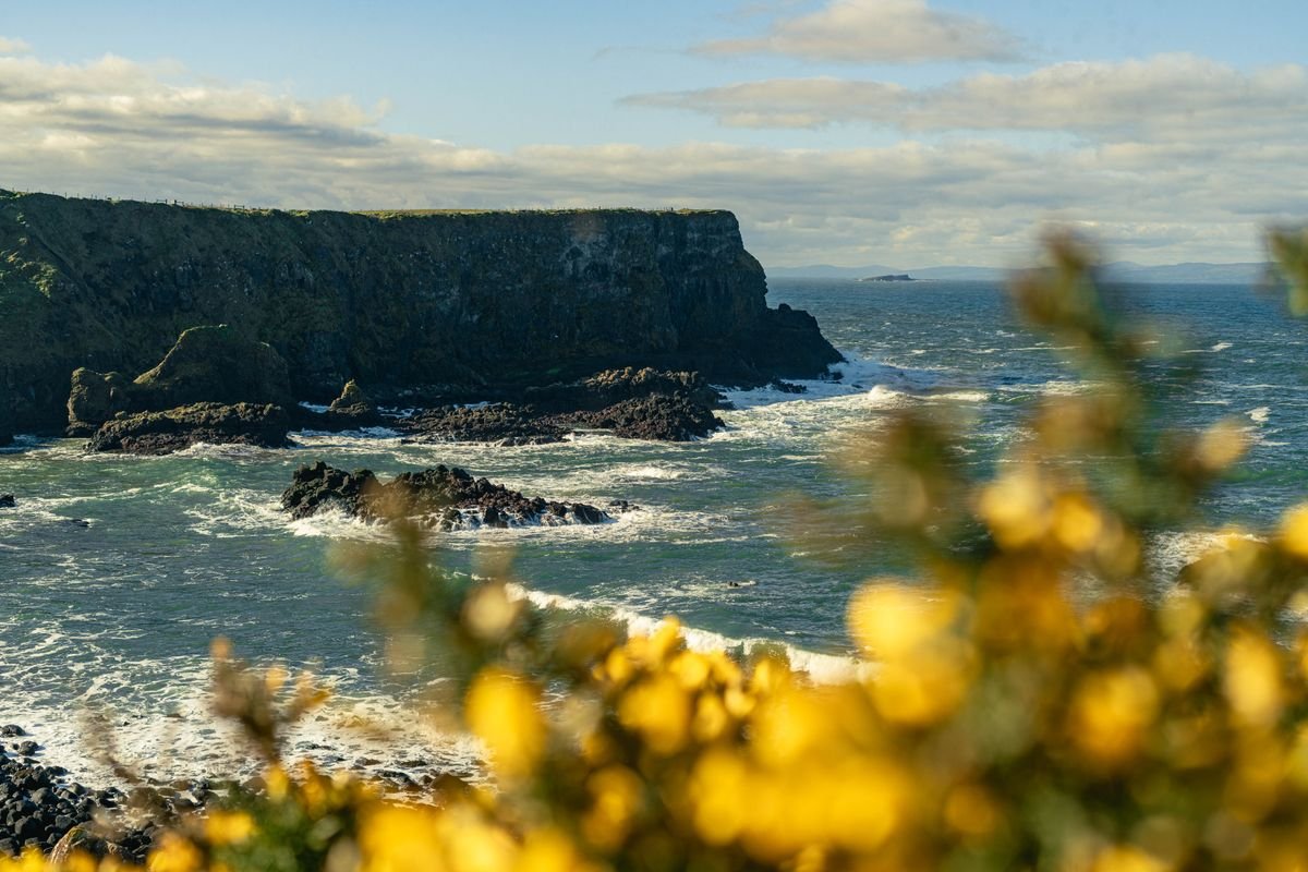 Rugged basalt sea cliffs on <a href=