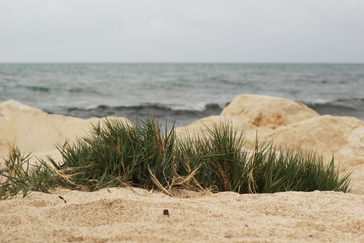 Sandy beach with dune grass and grey Atlantic surf at Silver Strand near Barna, County Galway.