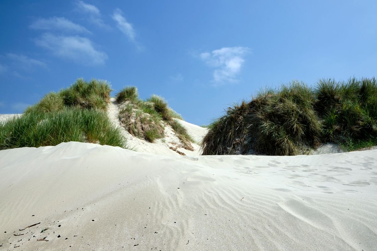 Grass-topped sand dunes rising above golden beach sand under a blue sky