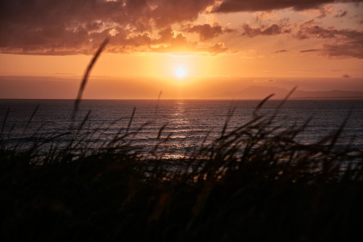 The sun setting over the open Atlantic from an Irish beach, with dune grass in the foreground.