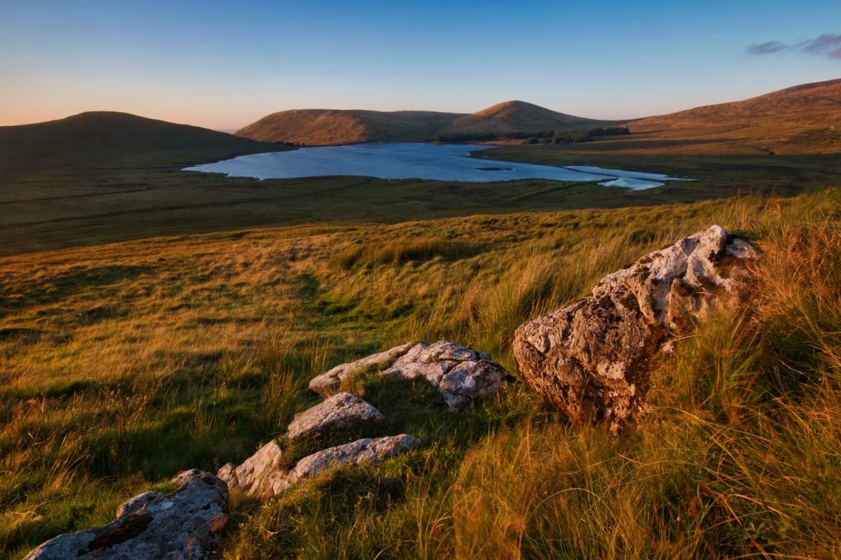 Low winter sun over an upland lake and bog grass in Ireland