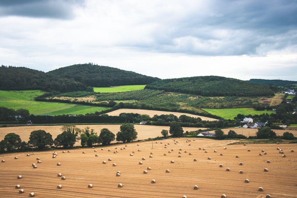 Golden autumn stubble fields and wooded hills in the Irish countryside