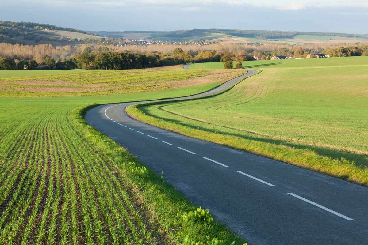An empty S-curving country lane winding through green Irish farm fields