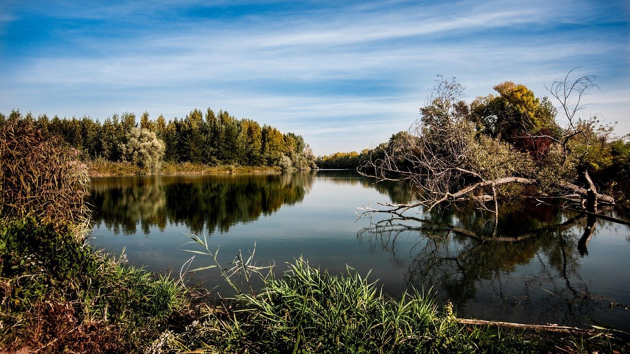 A calm reed-fringed lake in the Irish Midlands
