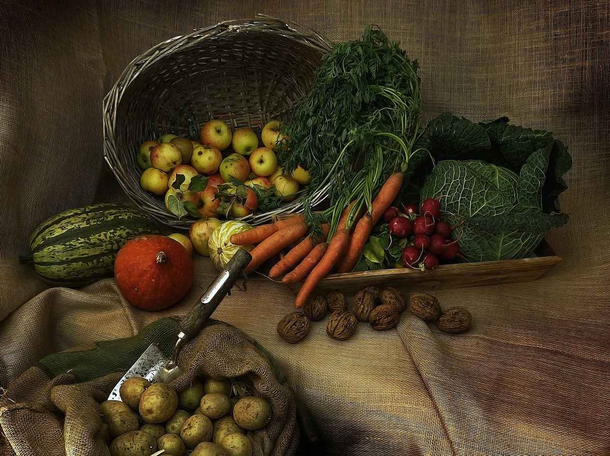 Cabbage potatoes and carrots for a traditional Irish meal