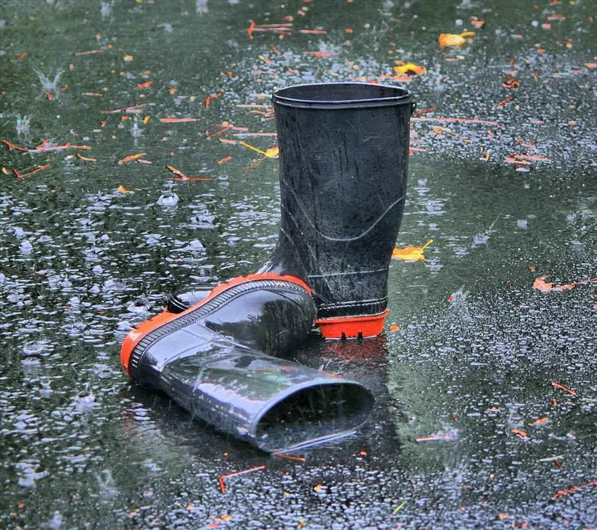 Rubber rain boots in a puddle with falling rain and autumn leaves