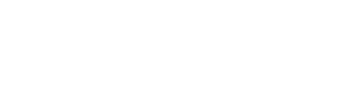 Your Irish Adventure logo (white)