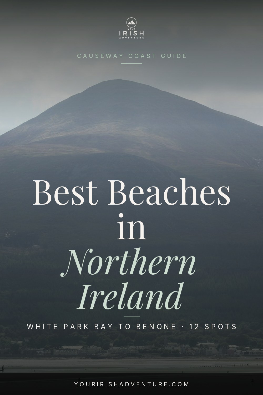 Long stretch of golden sand meeting dunes and blue water on the north coast