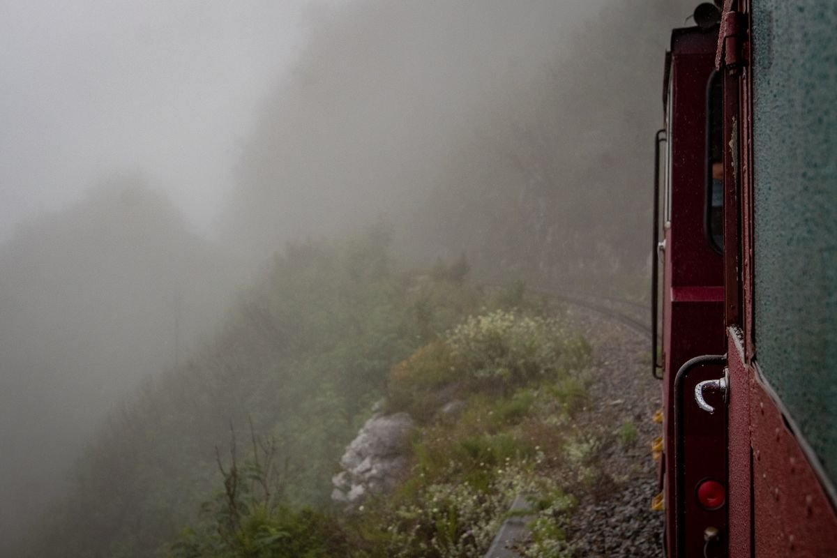 Looking out from a moving train as it curves along a misty green hillside