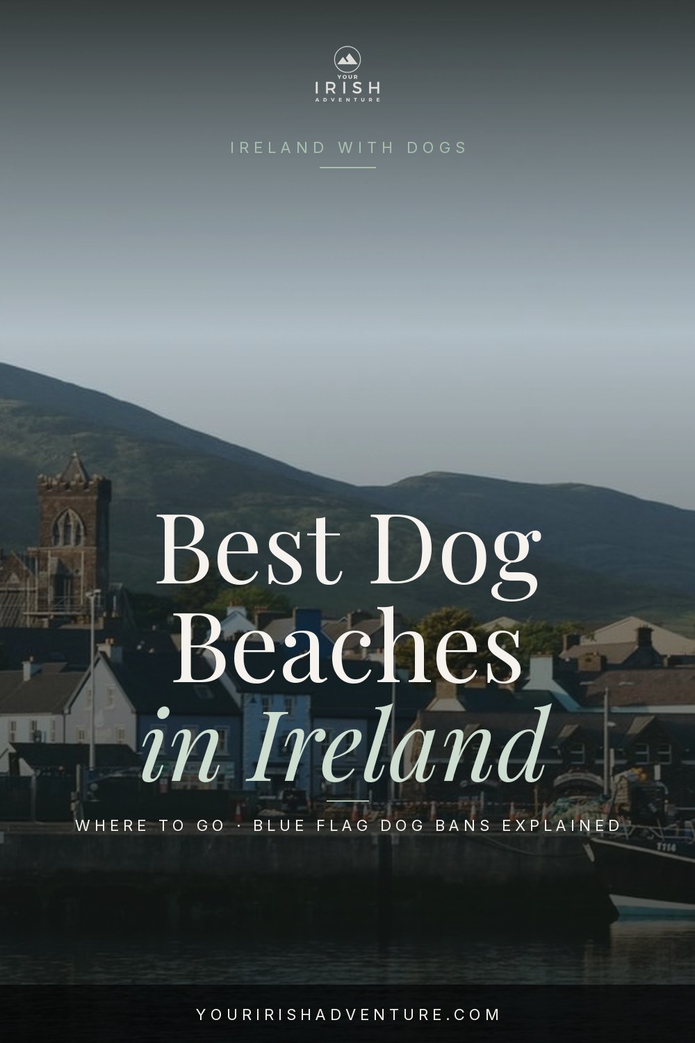 Small dog on wet sand at an Irish coastal beach with dunes and blue sky in the background