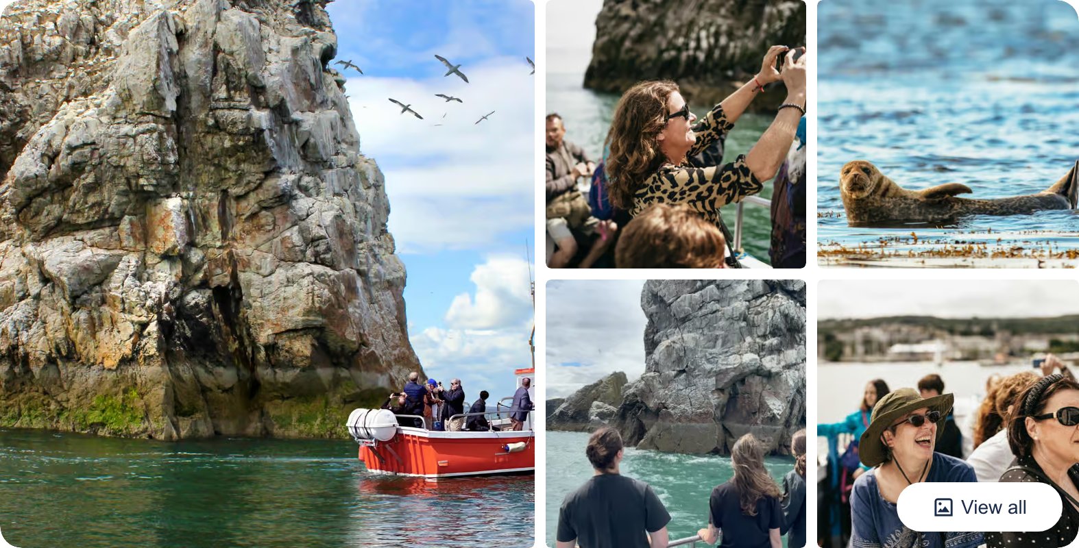 Dublin: Howth Coastal Boat Tour