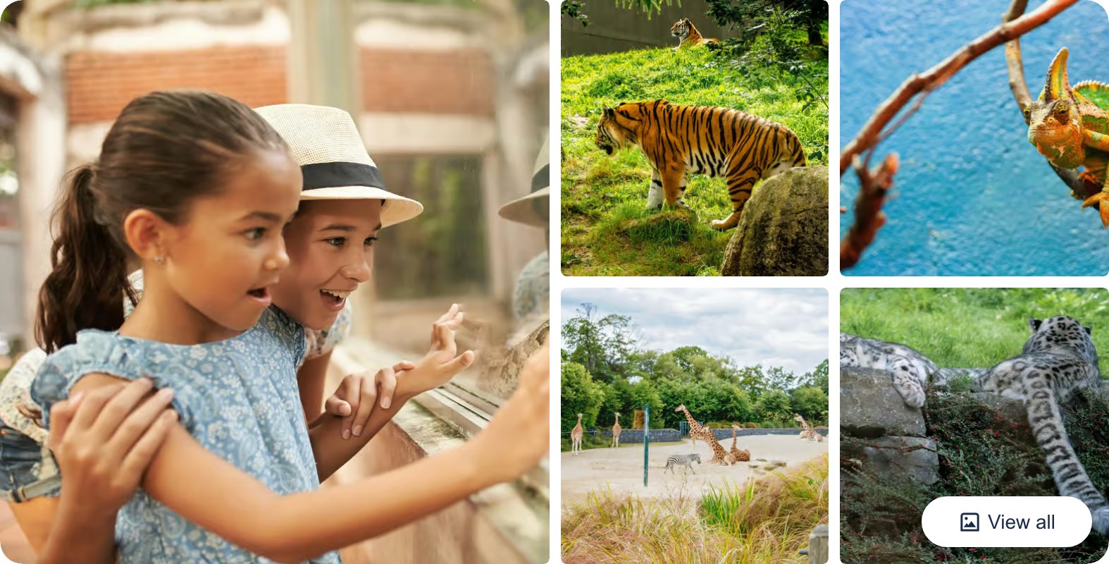 Dublin Zoo Skip-the-Line Tickets with Private Transfers