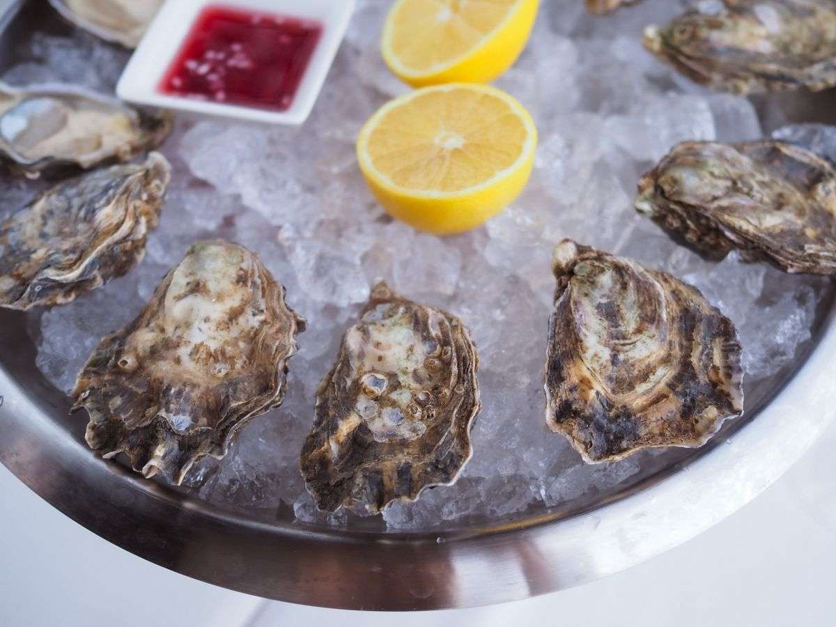 A plate of fresh oysters on crushed ice with lemon halves