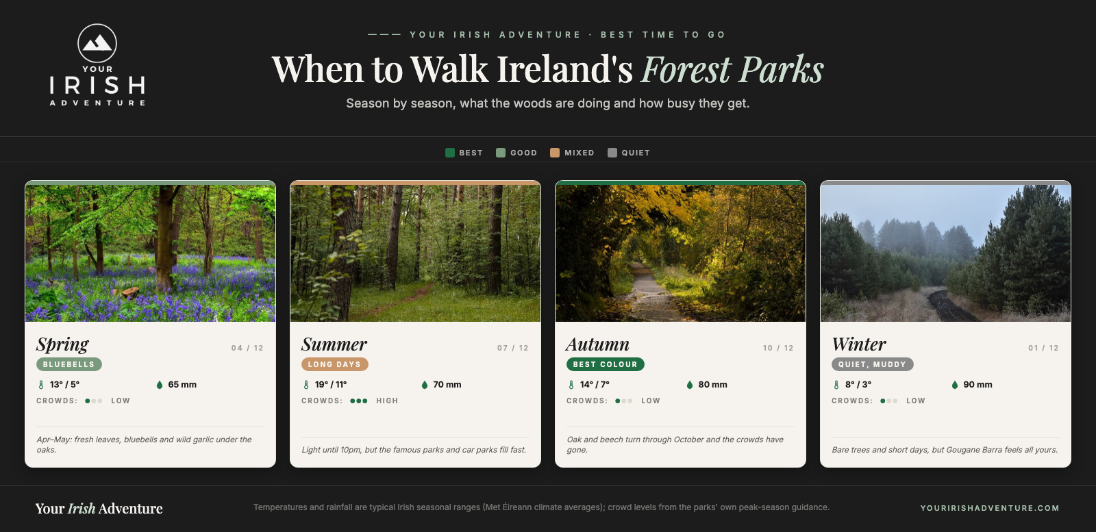Season-by-season chart of when to visit Ireland's forest parks, from spring bluebells to autumn colour