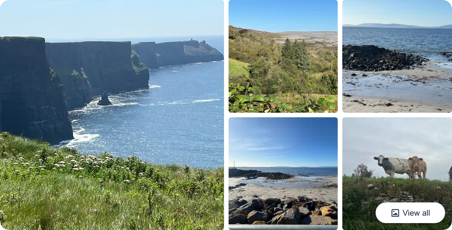 Galway: Cliffs of Moher, Dunguaire Castle, & Burren Tour