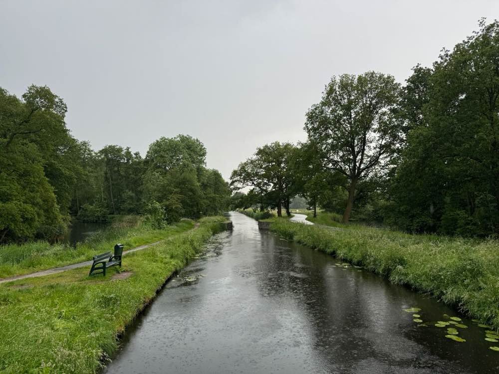 Bench beside a tree-lined canal