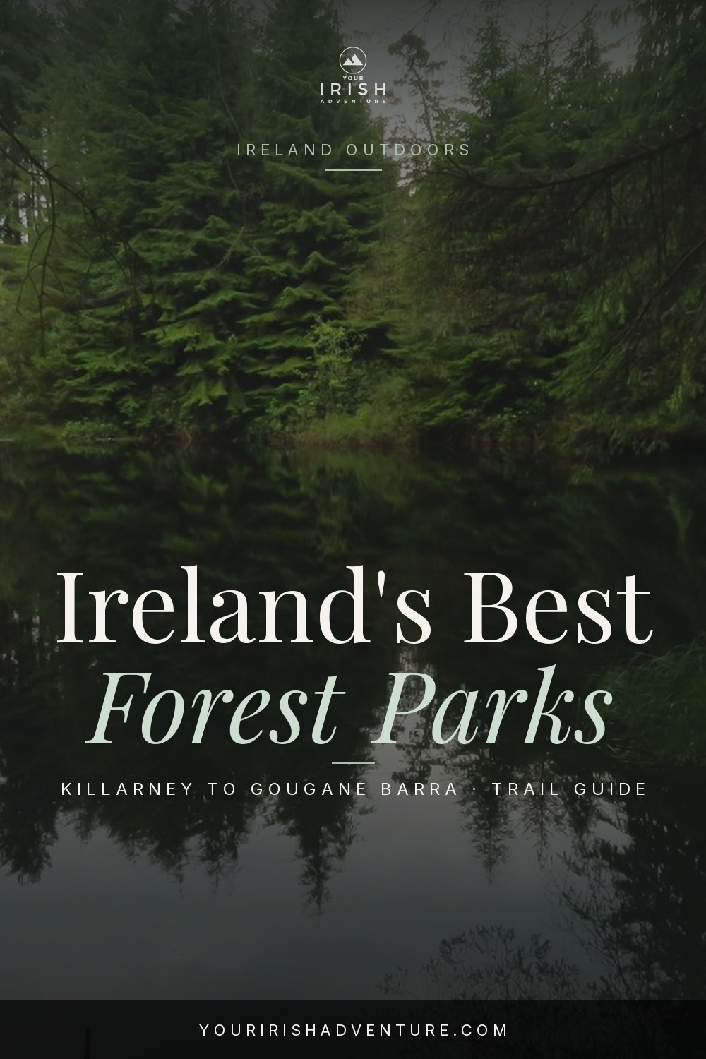 Green forest path with a stone bridge and river in an Irish national park