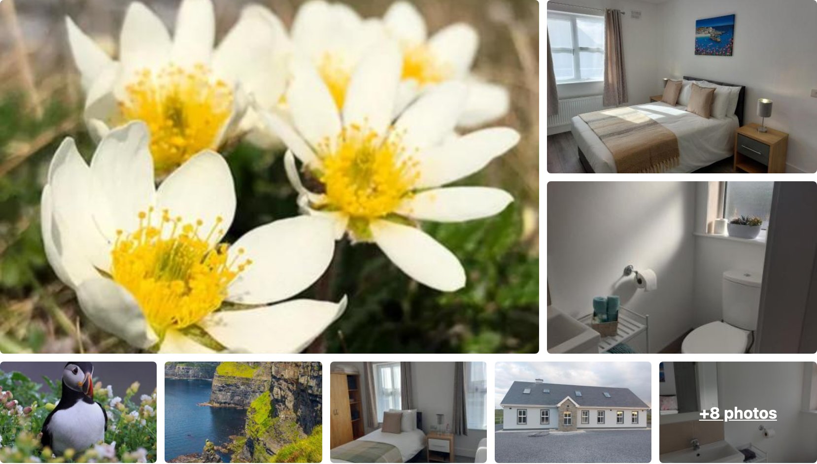 Mountain Aven Guest House