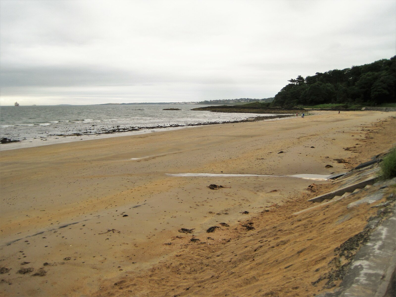 Helen's Bay beach backed by the woods of Crawfordsburn Country Park