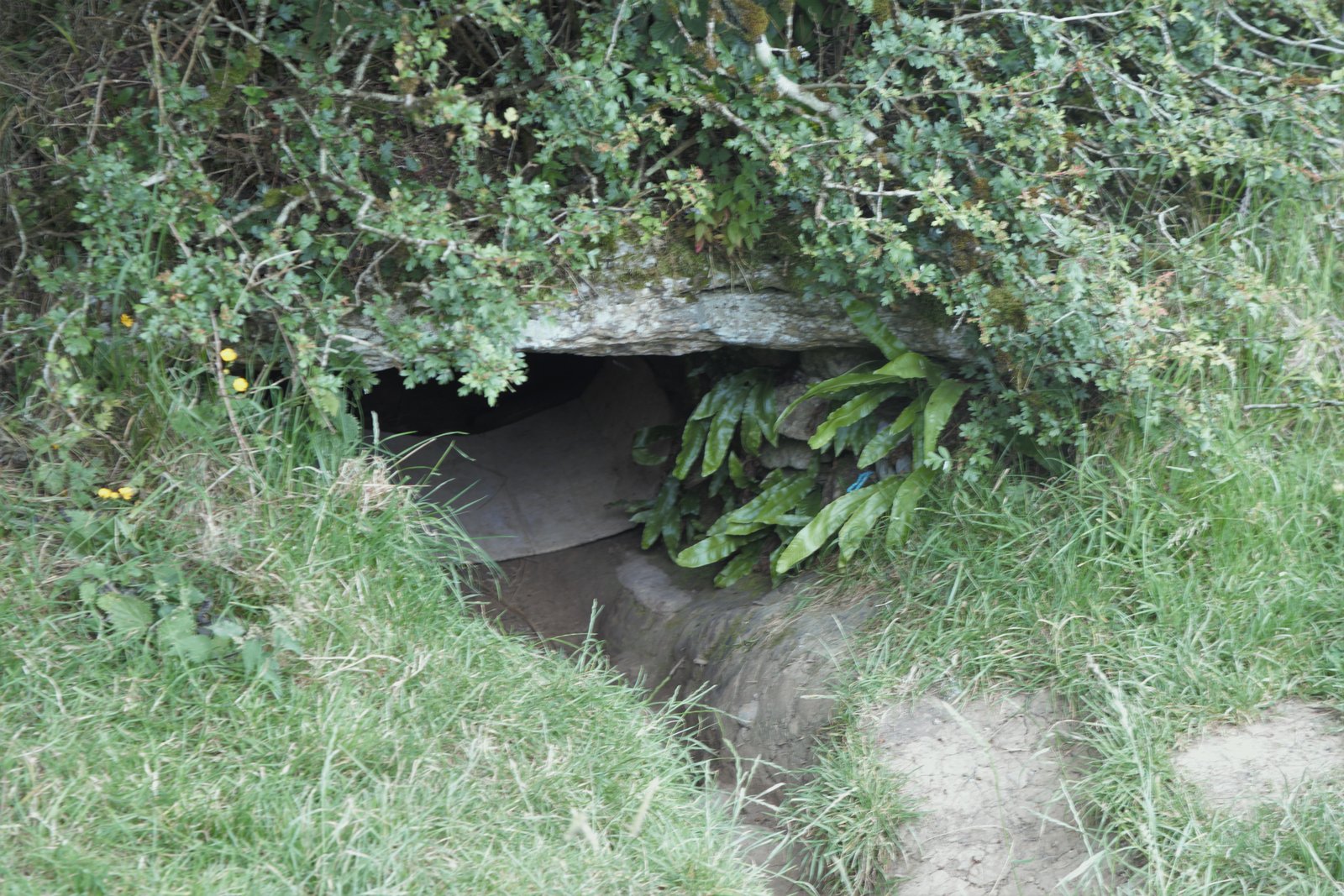 The low dark entrance to the Oweynagat cave set in grass at Rathcroghan