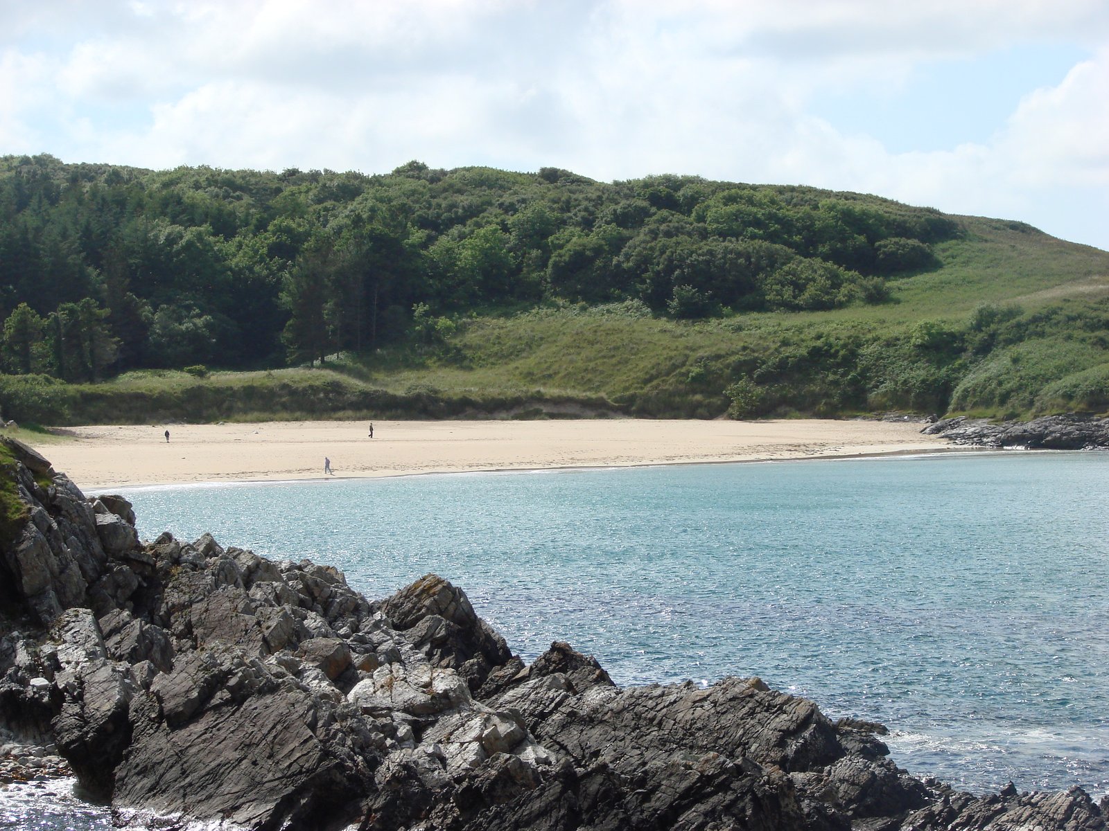 Beach and forested headland at Ards Forest Park