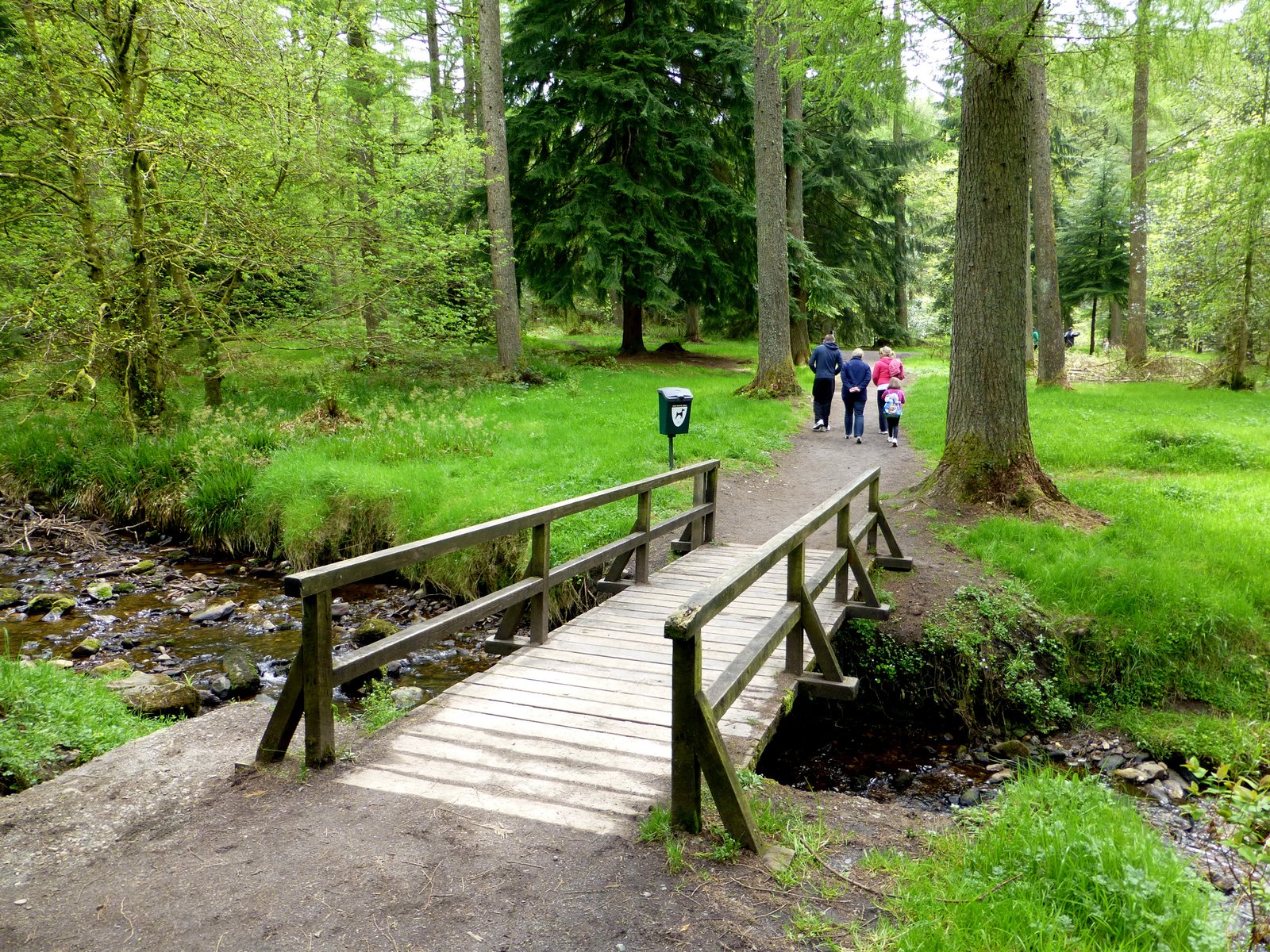Footbridge and woodland path at Gortin Glen Forest Park