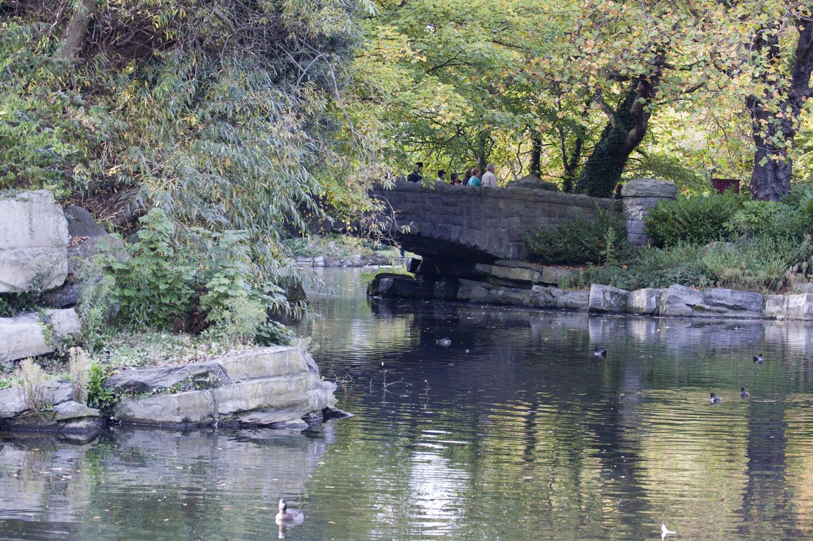 St Stephen's Green pond in central Dublin