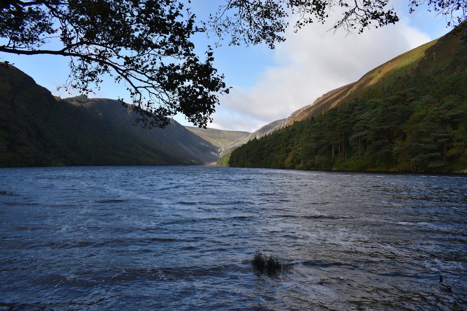 Glendalough Upper Lake in the Wicklow Mountains