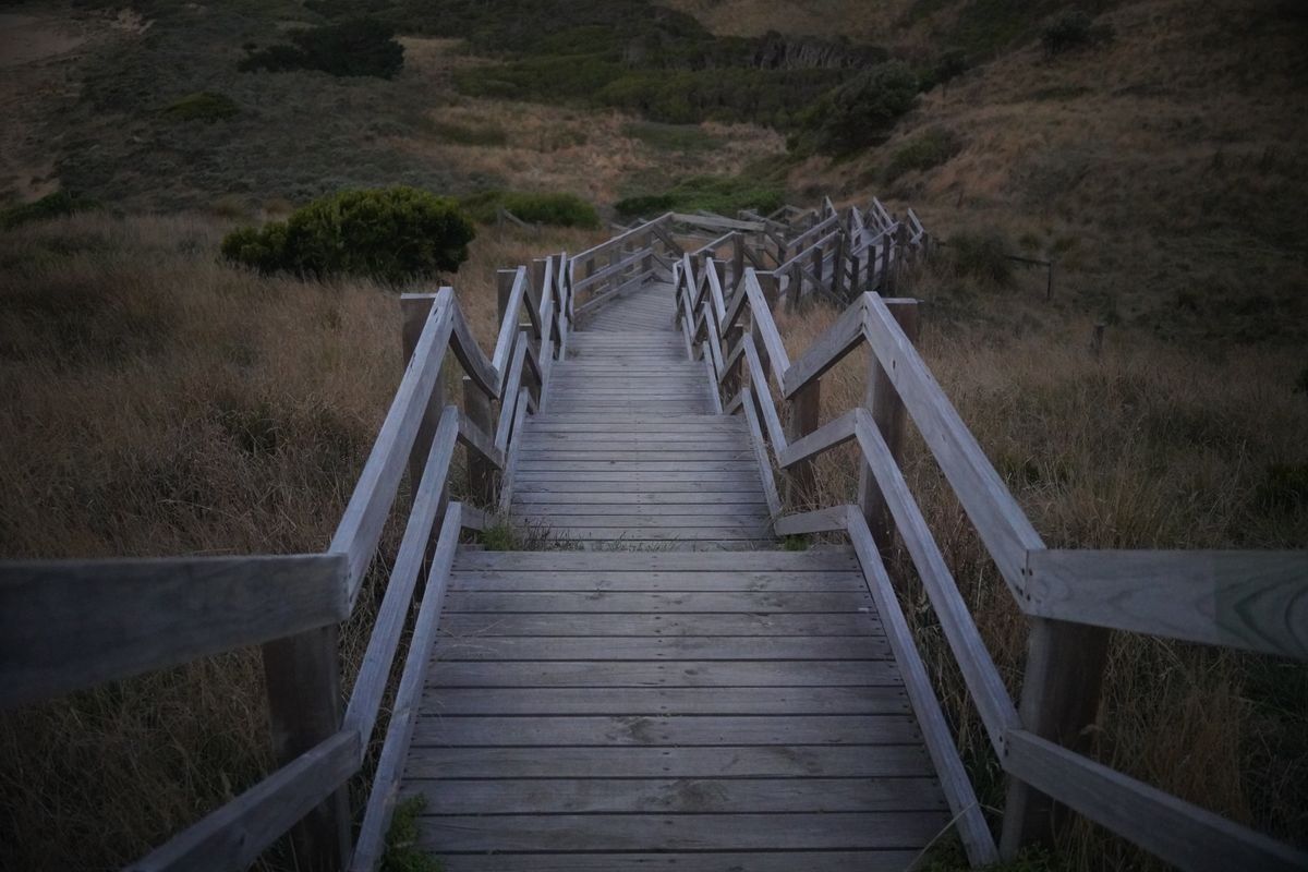 Timber staircase climbing the mountain on the Cuilcagh boardwalk