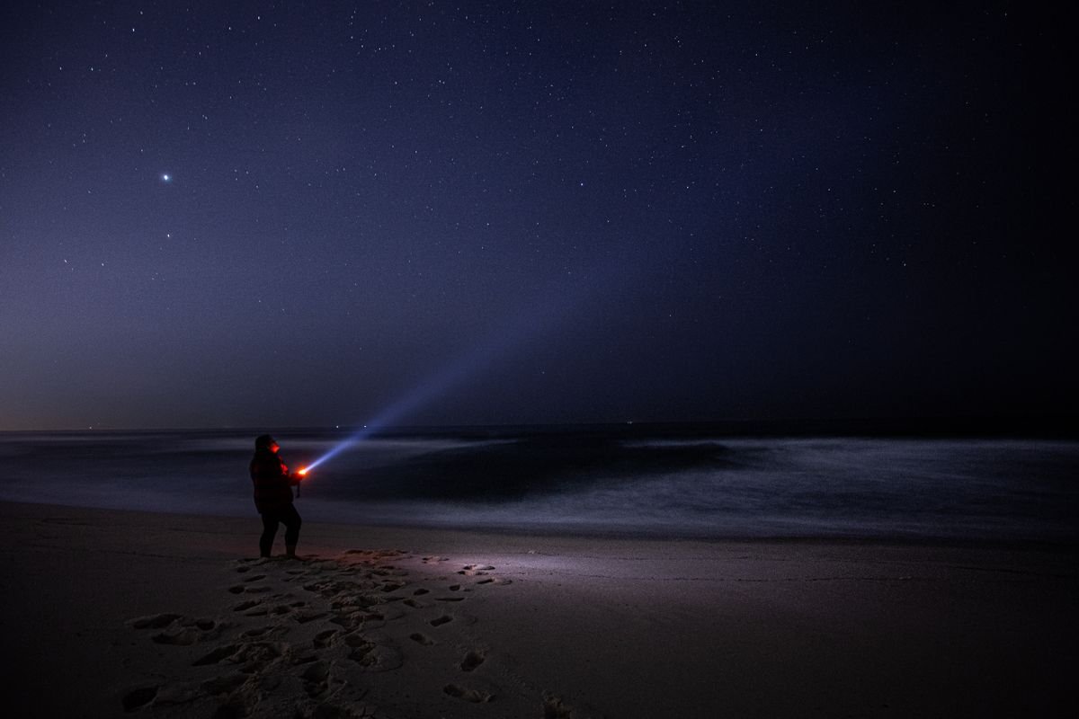 A person on a dark beach at night looking out over open water under stars