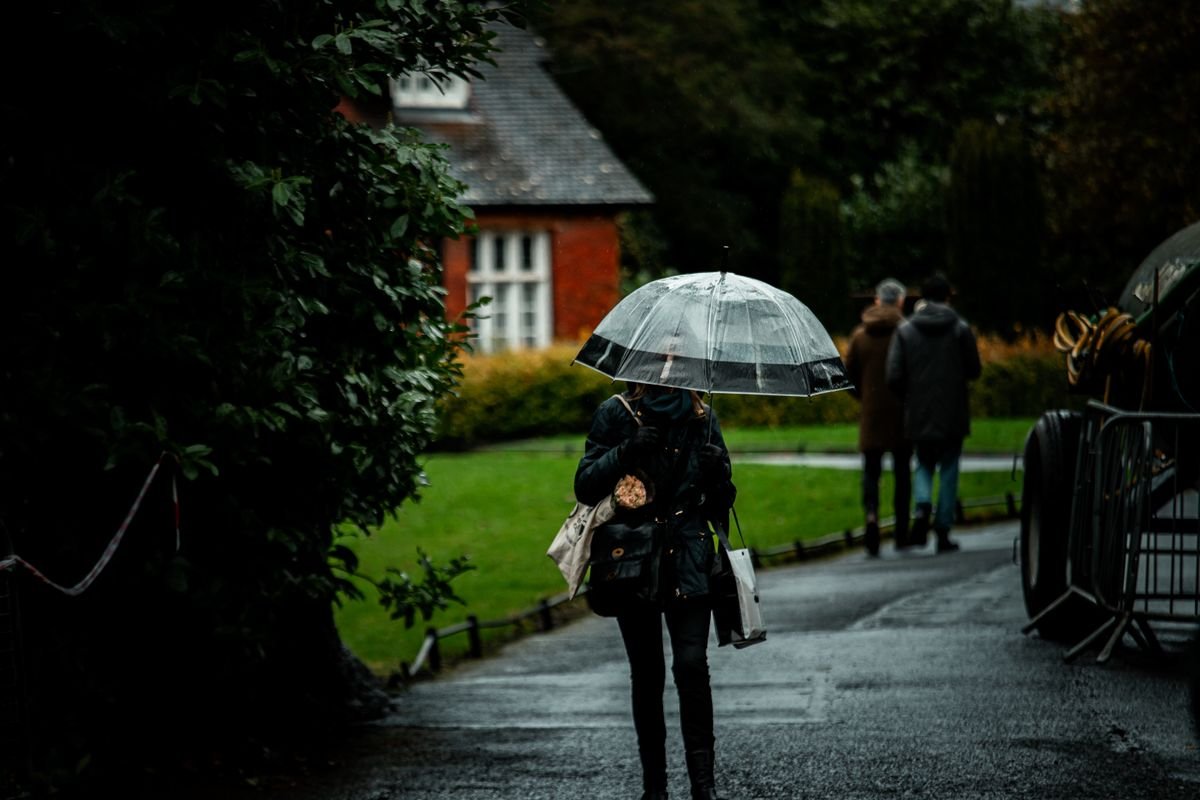 A person with a clear umbrella walking a wet path past green lawn