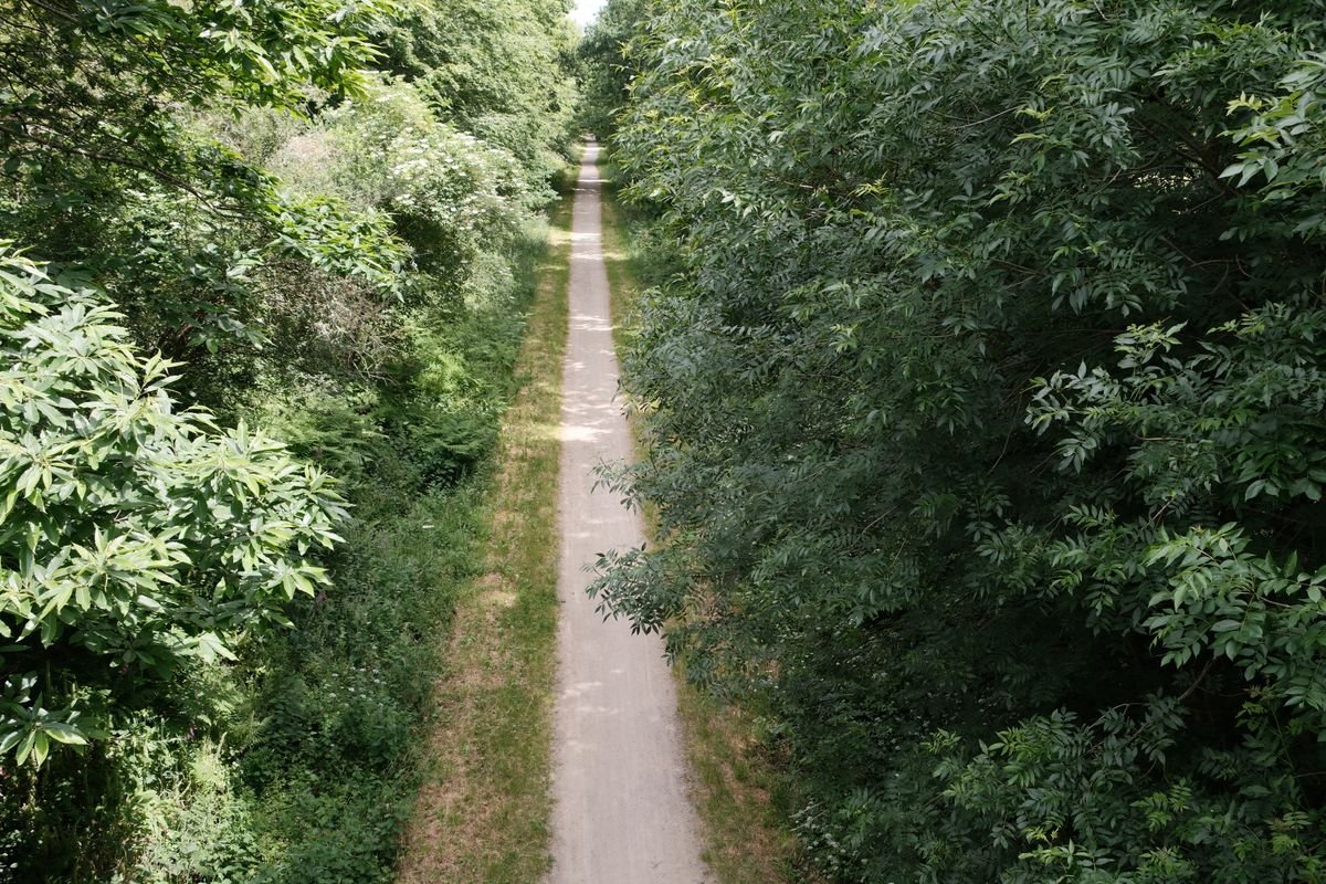 A straight tree-lined former railway path used as a greenway