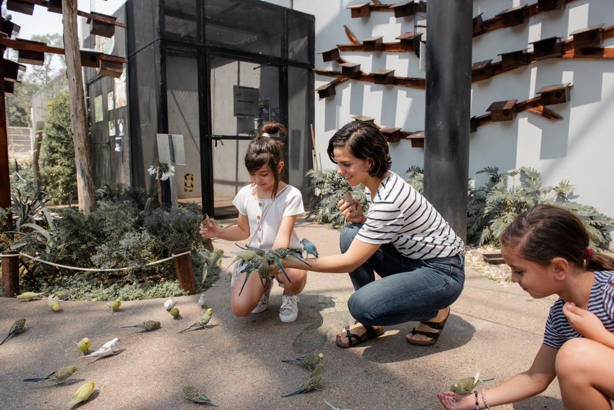 A mother and two children feeding small birds in a zoo aviary