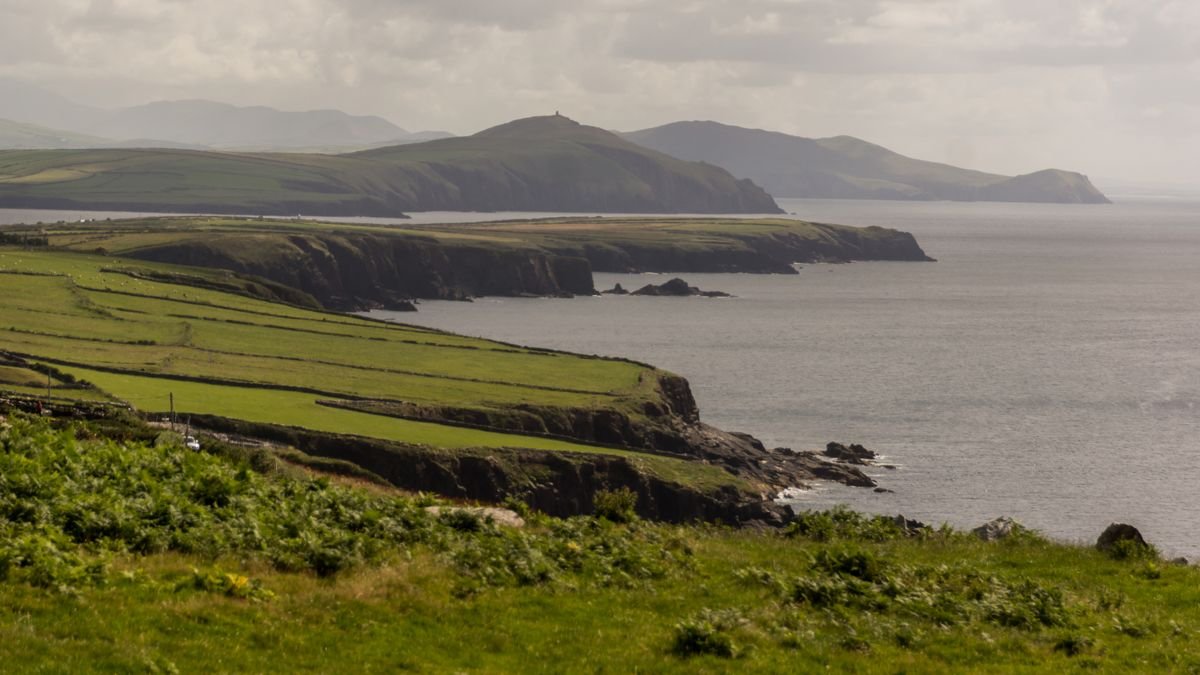 Green fields running to cliffs and the sea on the Dingle Peninsula