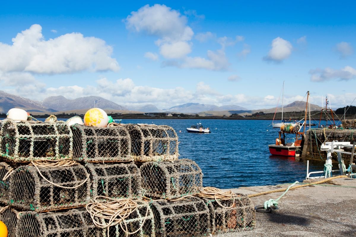 A quiet Connemara coastal harbour with fishing boats