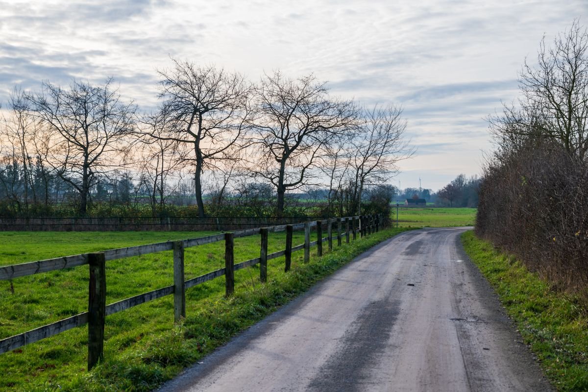 A narrow country lane through the Irish countryside