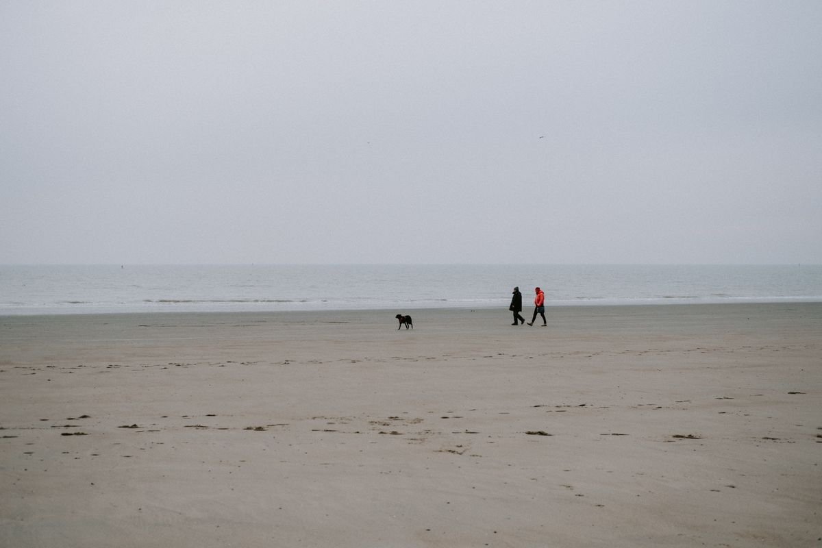 A dog and walkers on a wide empty beach
