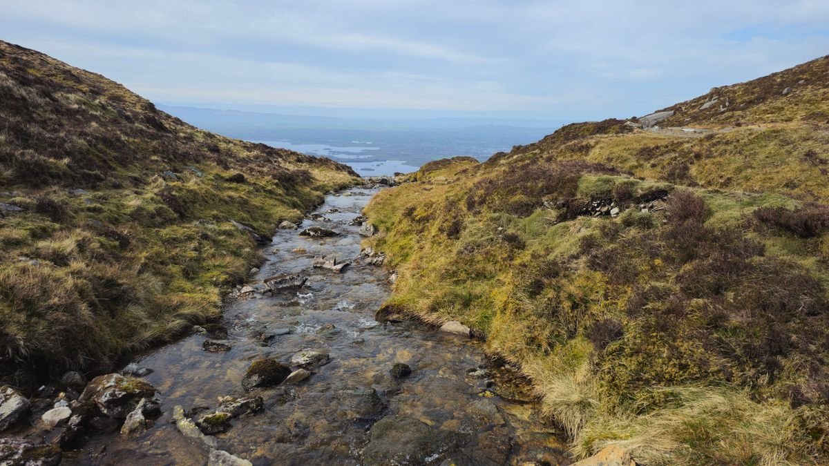 Rough boggy moorland and a rocky stream on a Kerry mountainside