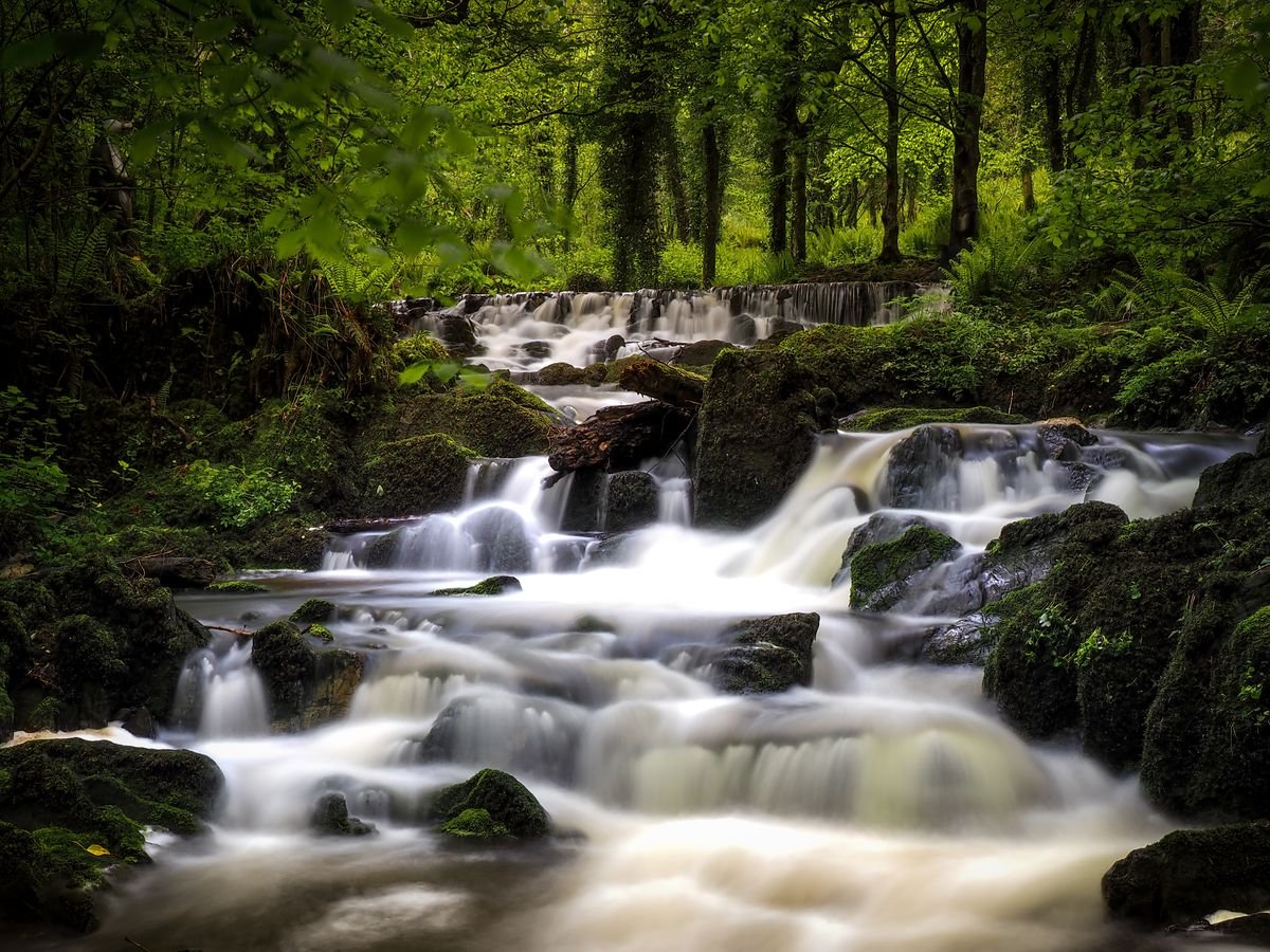 Waterfall cascading over green mossy rocks in Ireland