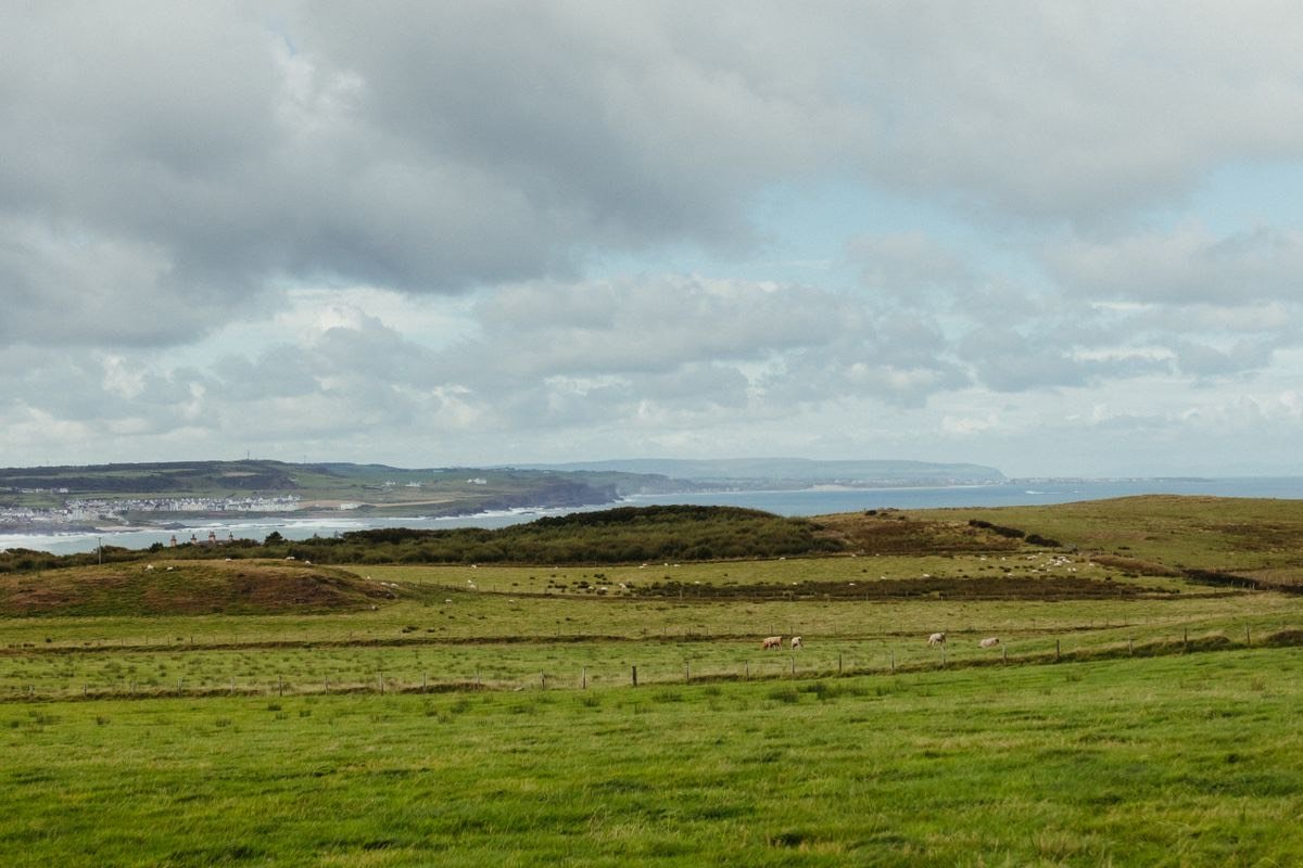 Green fields running down to the coast in Ireland