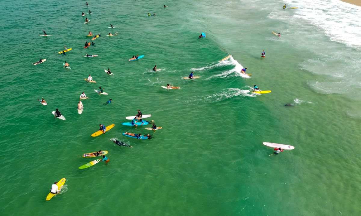 A busy lineup of learners on colourful boards in green water