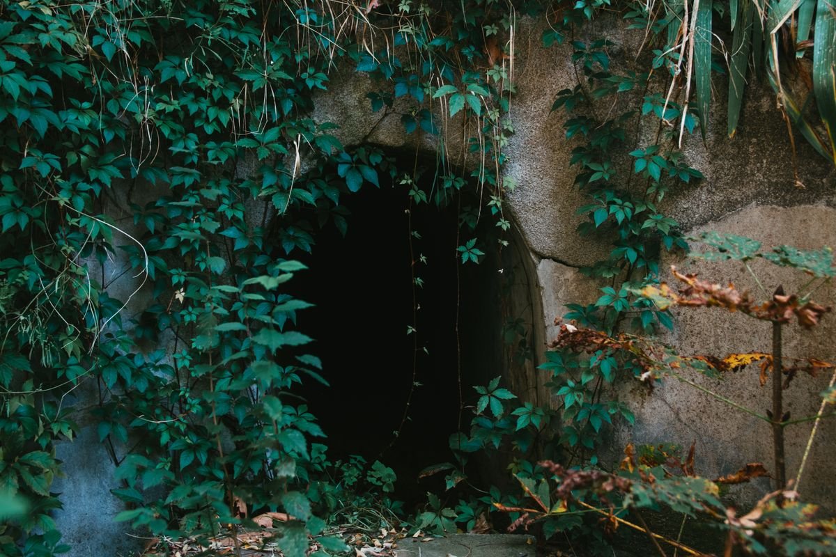 A low dark cave entrance in the ground framed by green ivy