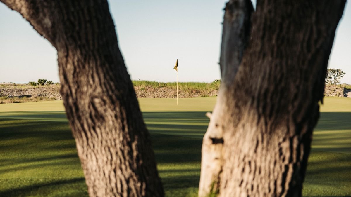 Seaside links green framed by trees with dune grass behind
