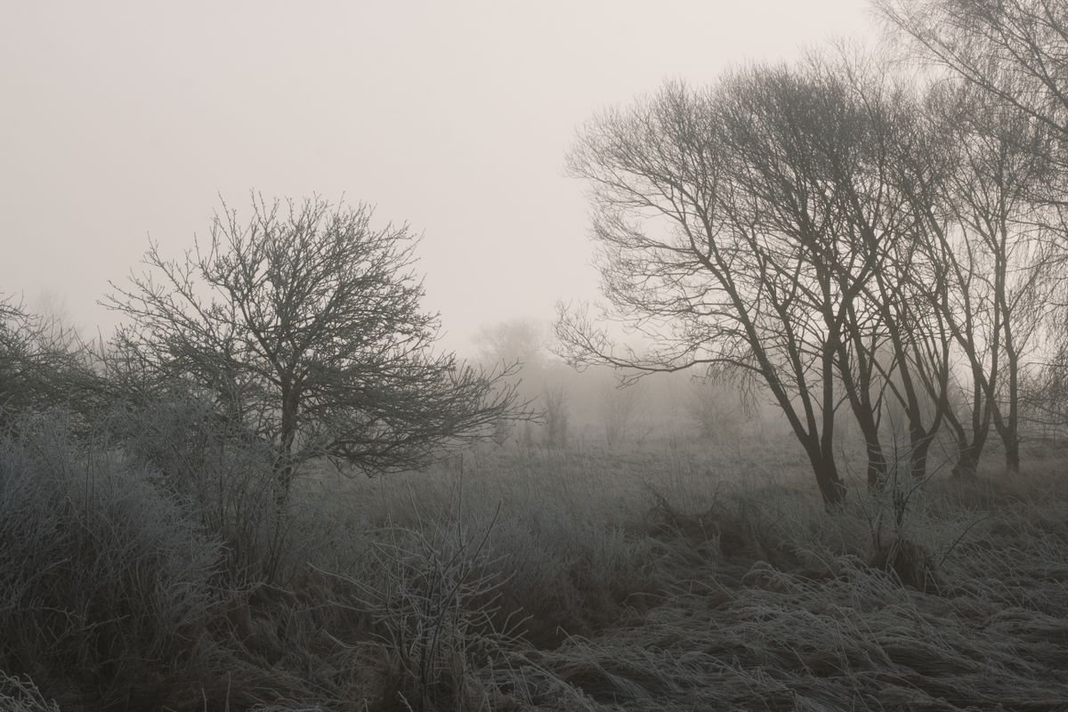 A frosty misty Irish winter landscape in low light