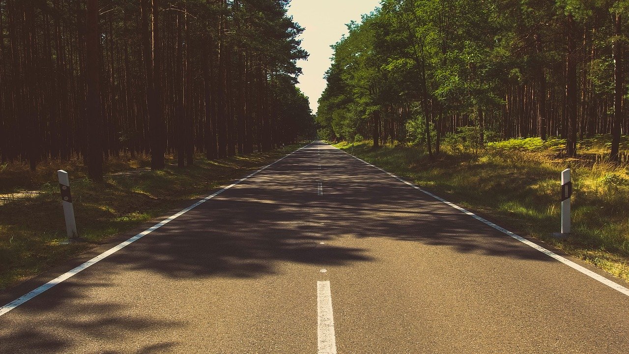 Tree-lined country road on the drive to the Game of Thrones Studio Tour in Banbridge