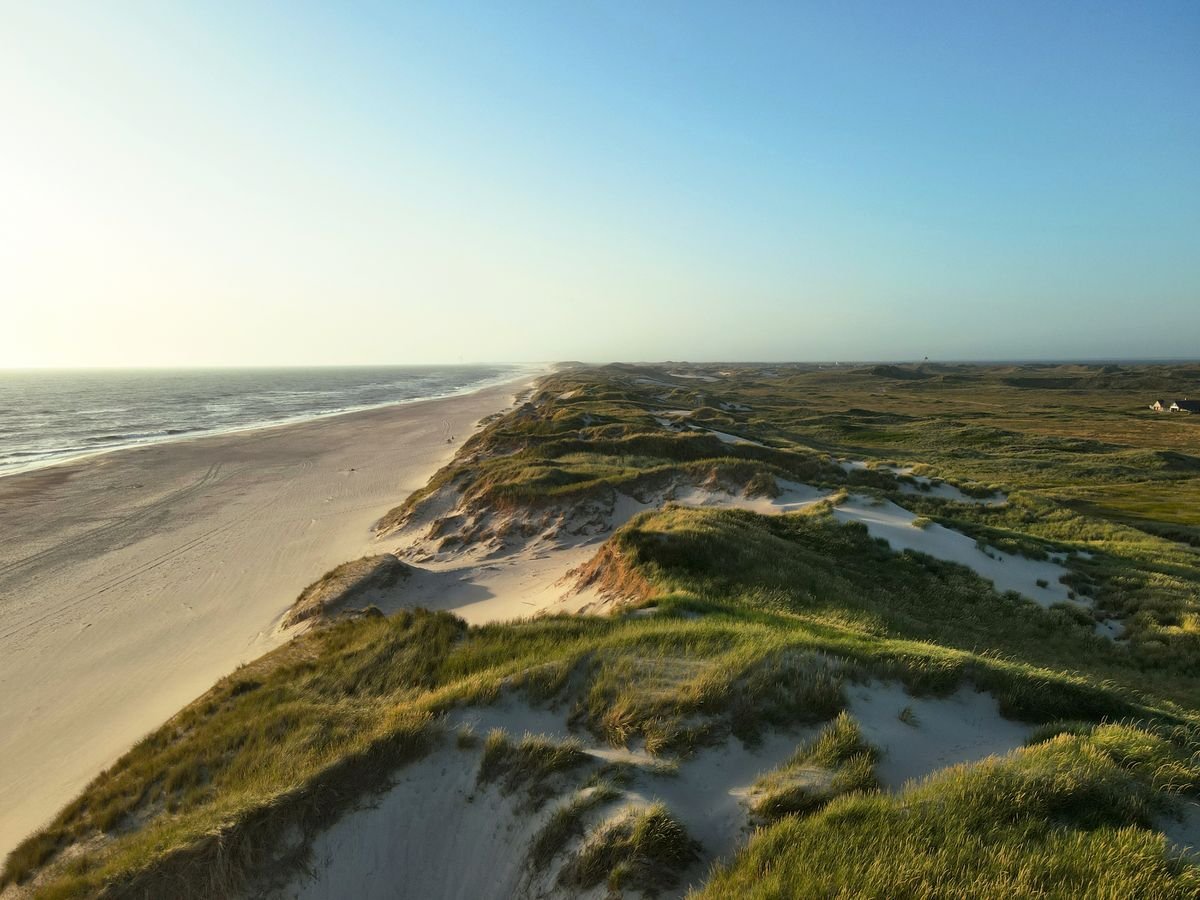 Grass-topped sand dunes beside a beach