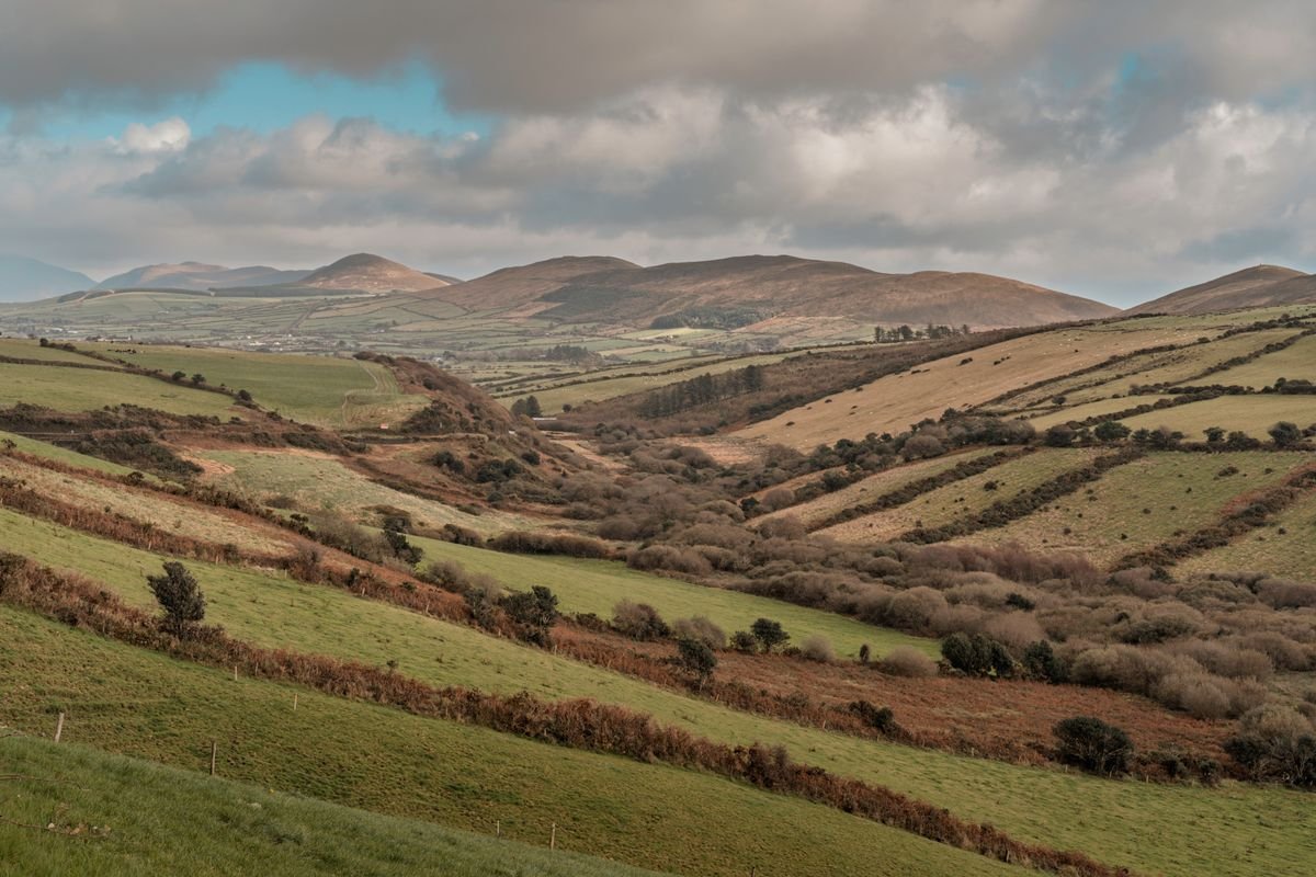 Rolling green and russet Irish hills with fields and hedgerows under a cloudy sky.